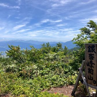 前山到着、大野の町とはるか向こうに白山👀