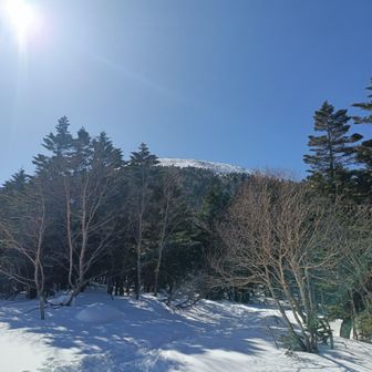 ちょこっと見える雪面に期待してしまう。