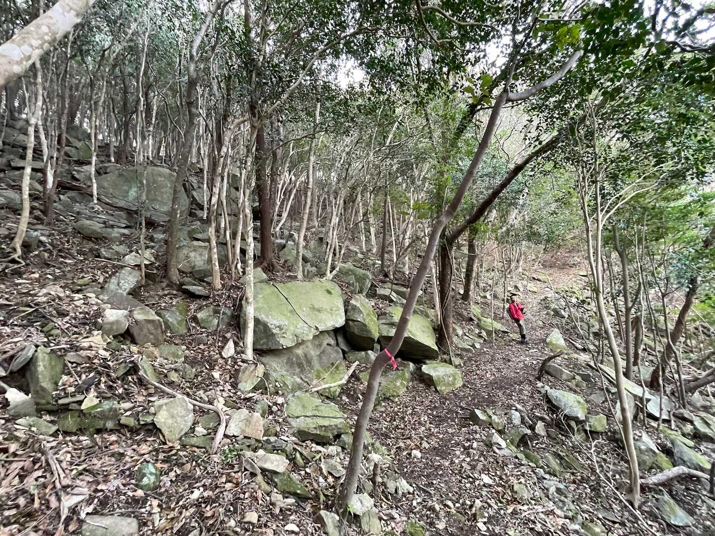 大岩ゴロゴロ