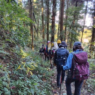 軽くなって帰ります