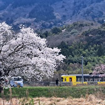 鉄分補給
京都丹後鉄道