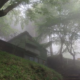 幻想的な駒止茶屋、この先のベンチでカリカリ梅おむすびを食べました。
食べていると女性の方が来て今日はヤマビルが出そうですねとのこと、もちろんヤマビルファイターとゲーターで対策はしています。
幸いなことに私は遭遇しませんでした。