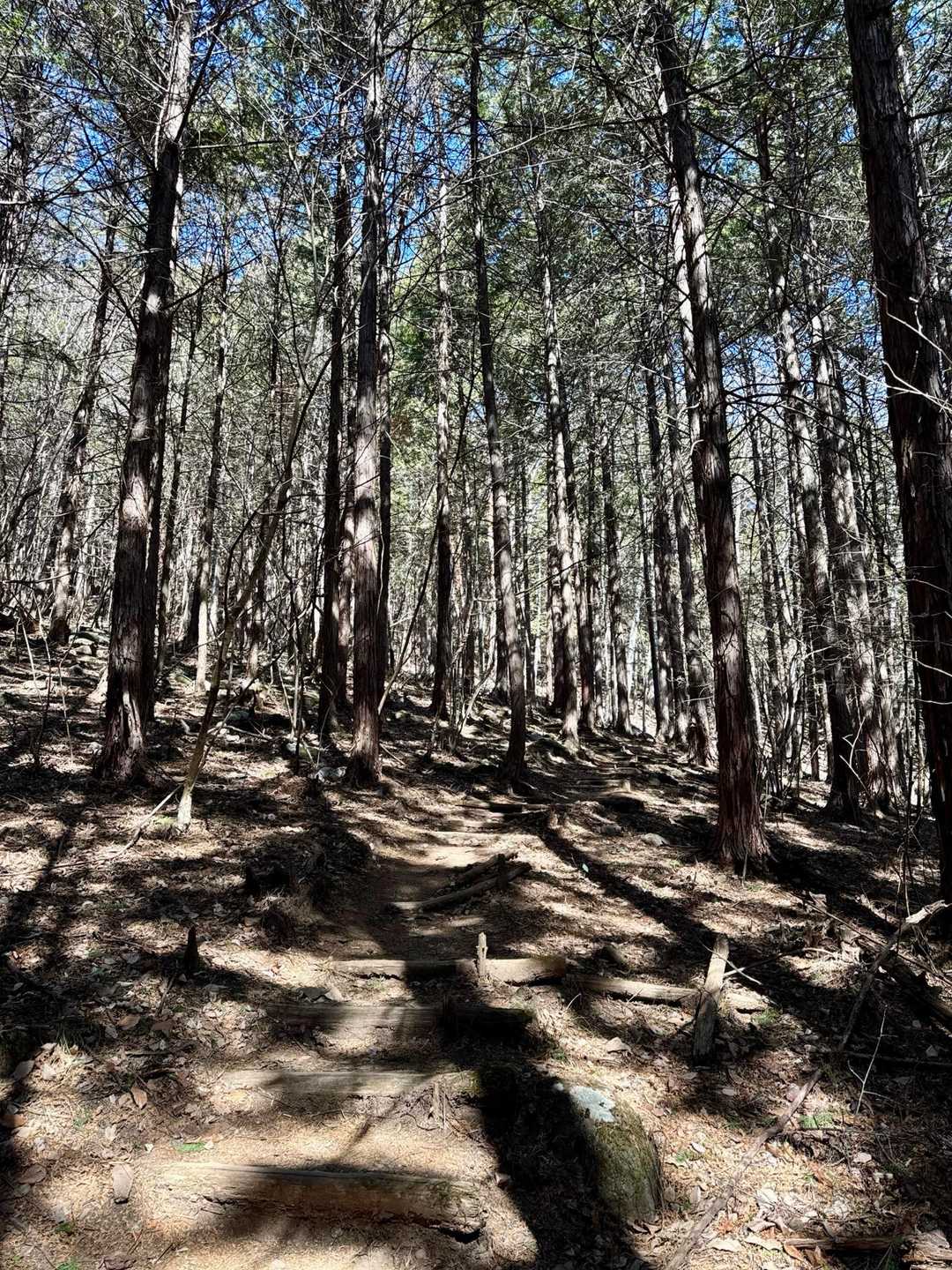 兜山周回 | クライマー集う岩壁の先、木々の隙間から覗く富士の特別感の写真