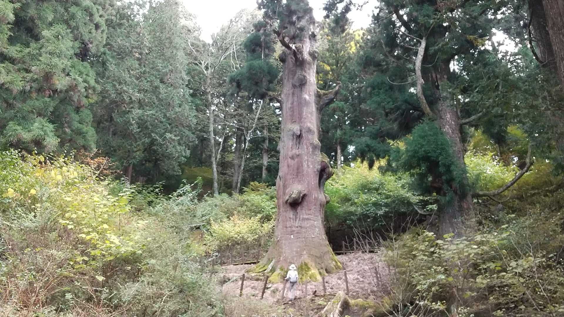 人（私）と比較してみると大きさが分かります