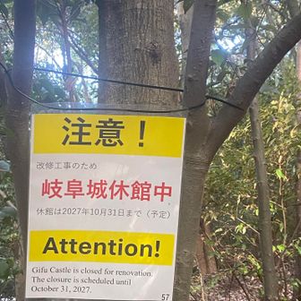 熊に注意かと思ったら⚠️