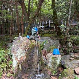 多分、実際に本番に背負うのは１２キロくらい❓

でも、トレーニングってそういうものだよね❓