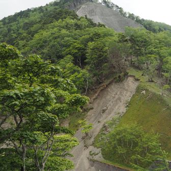山伏への登り返し💦
でも下るよりはマシだったかも