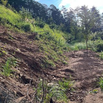 天空テラスへ降りる道が土砂崩れです。平にならされていたので、足早に抜ける。先に見える膝丈の草でズボンびしょ濡れ。