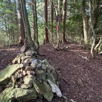 八百山登頂