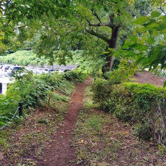 気持ちの良い尾根道
この日の行程はほとんどが舗装された道か、整地された遊歩道
こういう道は少なかった