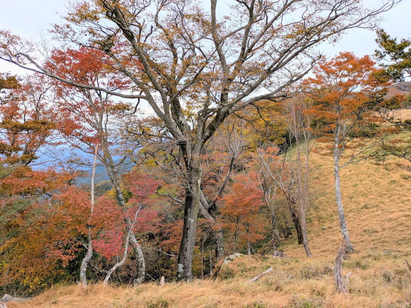 温まったら風ビュービューの尾根を更に歩む✨️🚶‍♀️🚶‍♀️