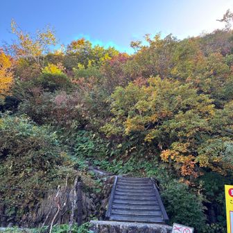 道を渡って登山口へ
