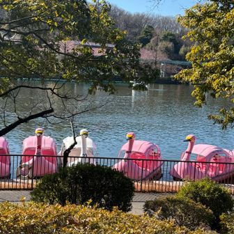 懐かしい＆並んでてかわちぃ🥺ྀི