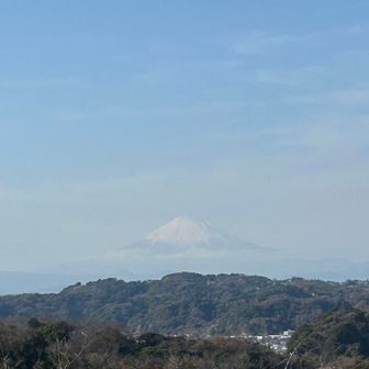 ちょっと霞んできてもうた🫥