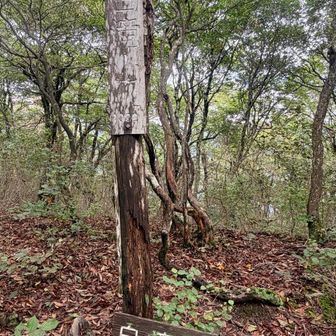 白滝山頂上