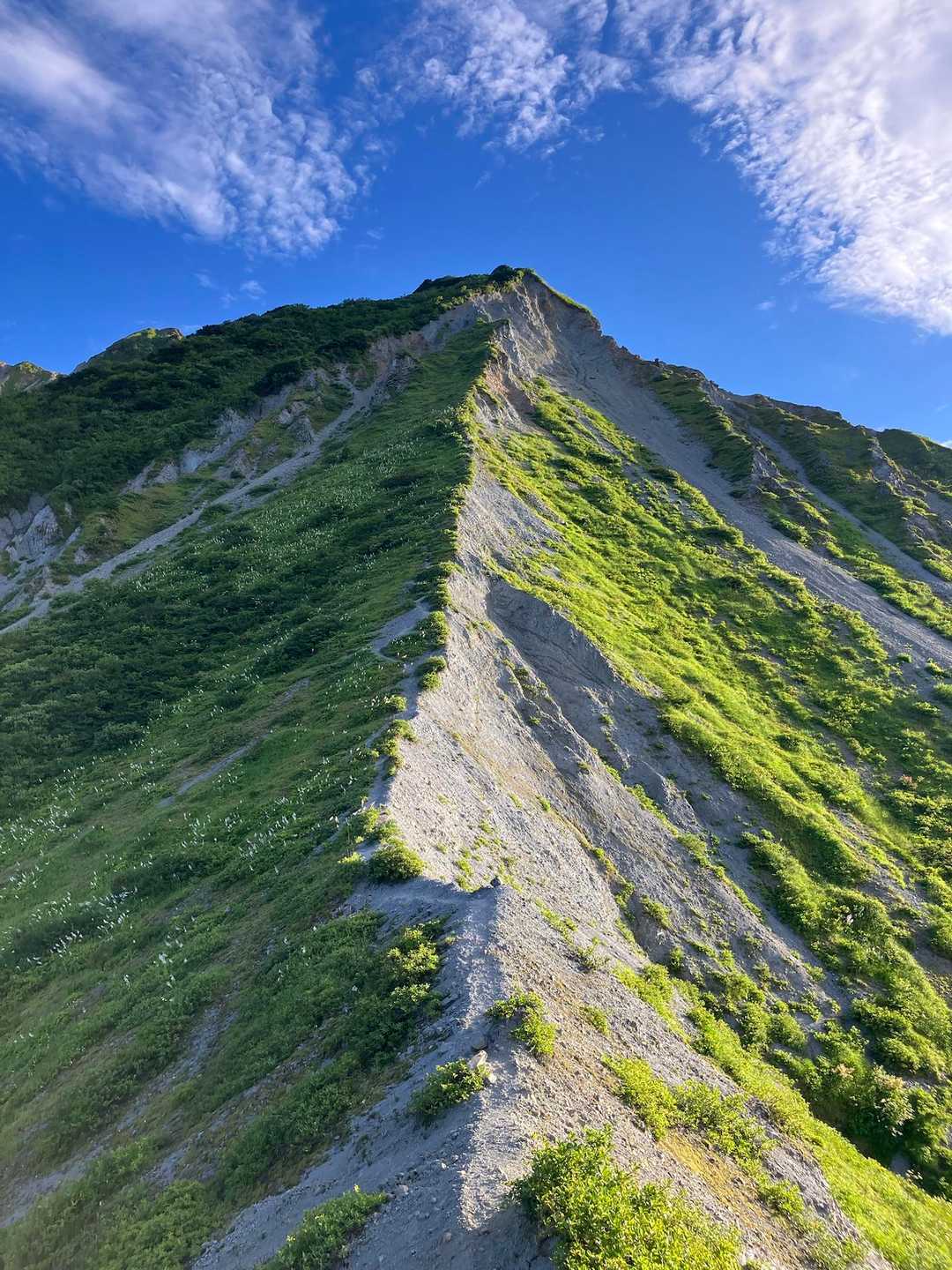 槍ヶ峰・三ノ峰・天狗ヶ峰・大山(剣ヶ峰) / tinsyouryuの登山データ