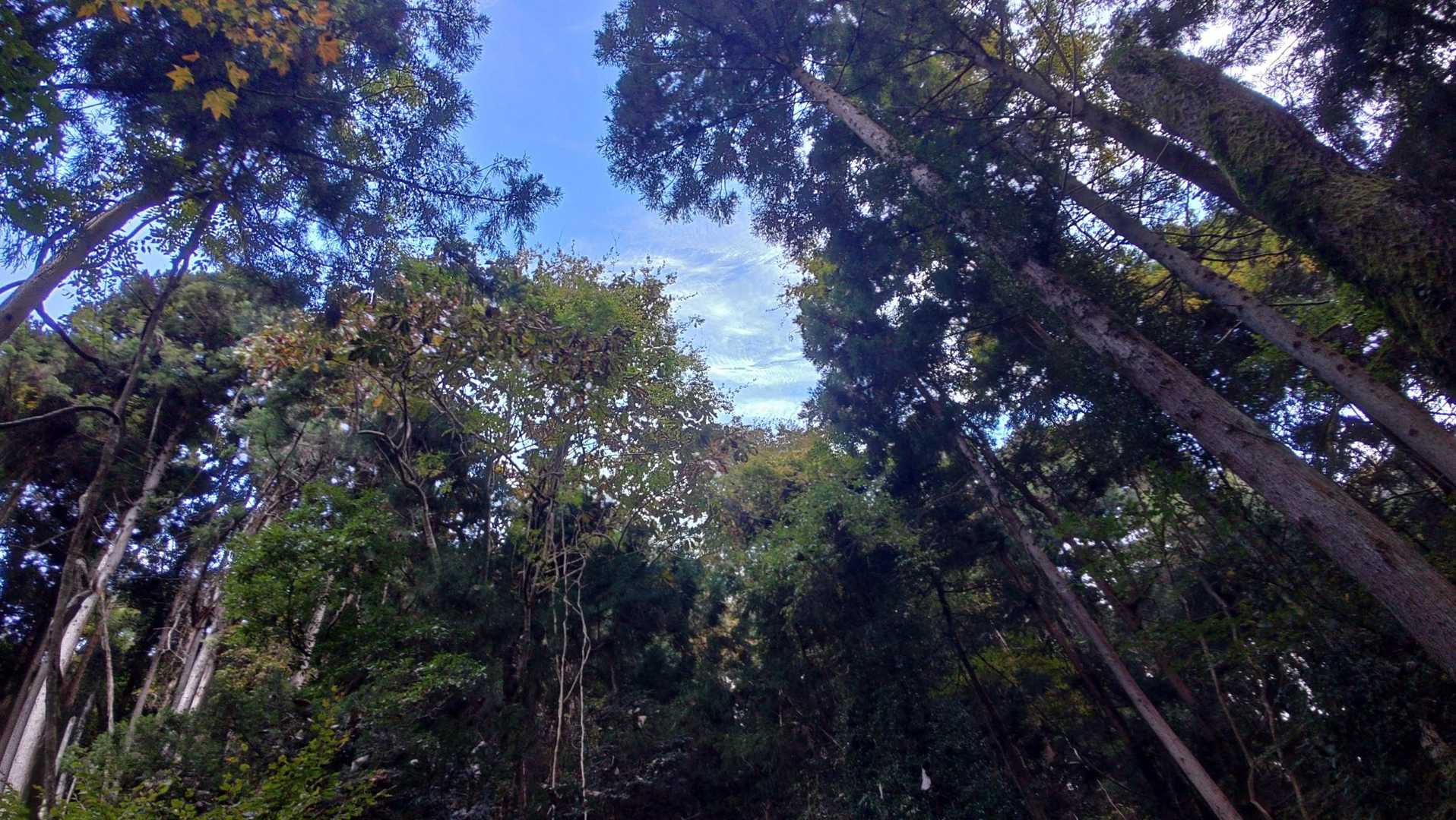 天気回復してきたー