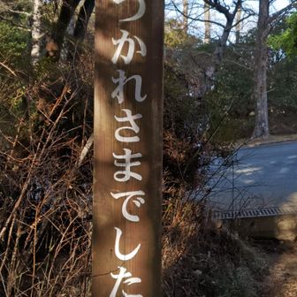 ハイ！疲れました！そしてこれから🚐💨4時間かけて帰ります
