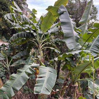 いざ恐竜公園へ