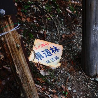 「毒キノコに注意」の看板に目を奪われますが、足元に転がってるコイツも良い味出してます👍