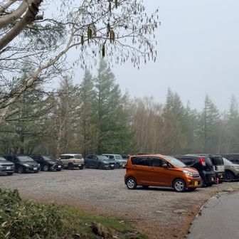 蓼科山登山口七合目　結構駐車場はいっぱいだけど、まだ余裕あります👍