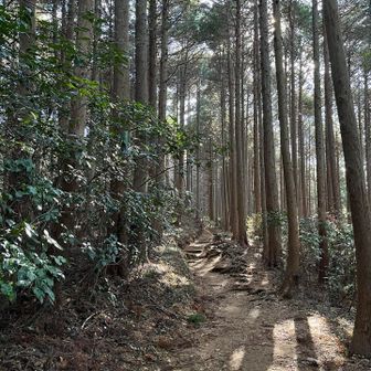 林道はほとんど貸切