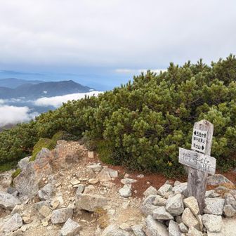 獅子岳到着。
ここからザラ峠まで一気に降ります。