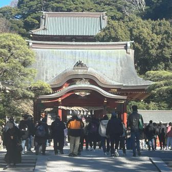 鶴岡八幡宮にお参り