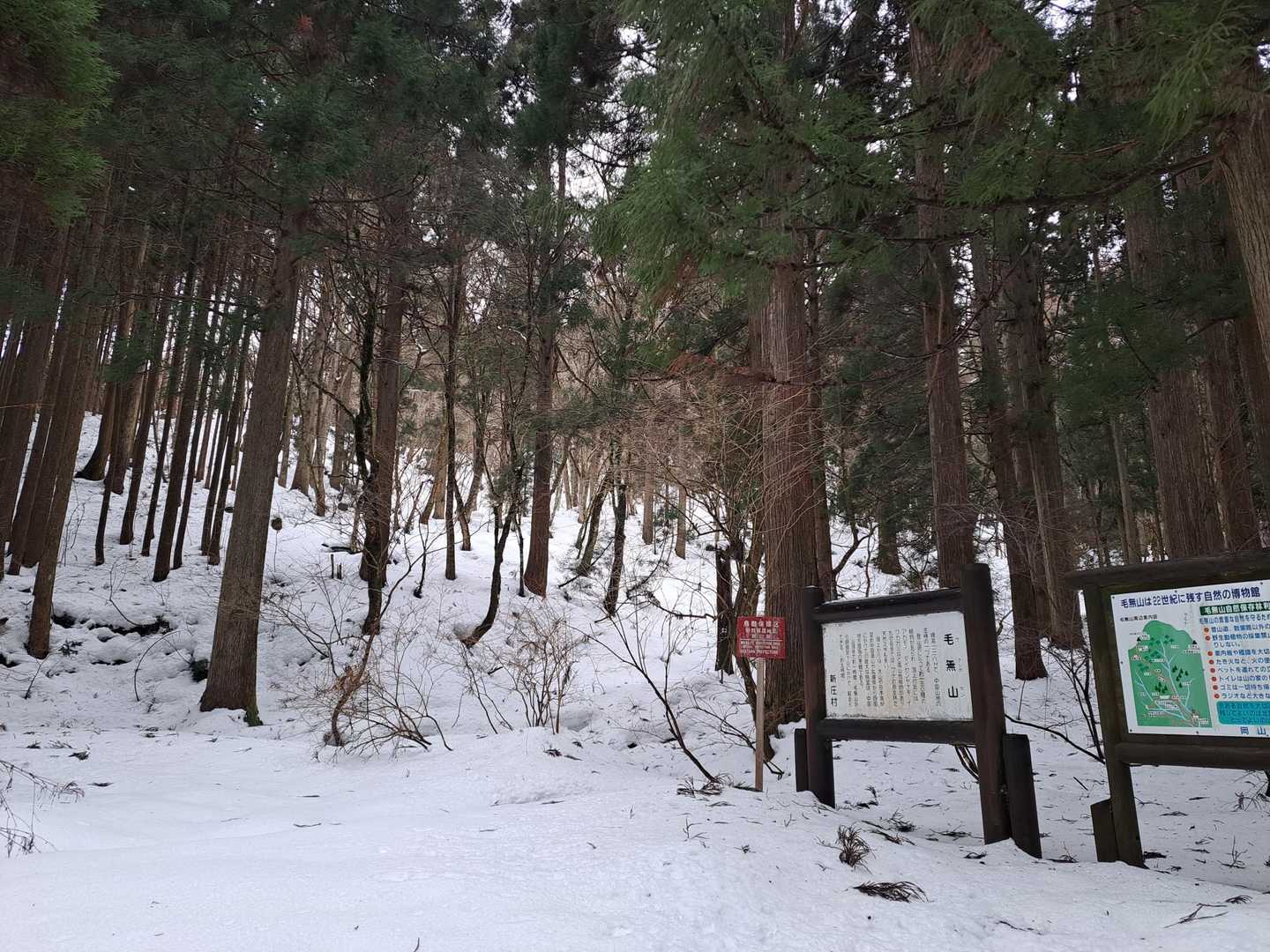 今日は西毛無山経由ではなく、
直接毛無山へ
ここから直登尾根へ