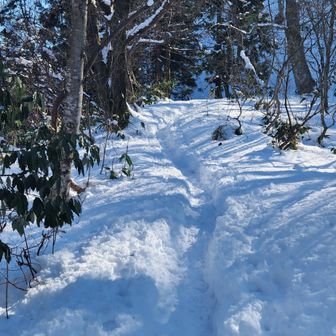 城ヶ平山過ぎてから雪が少し増えた感じ☃️