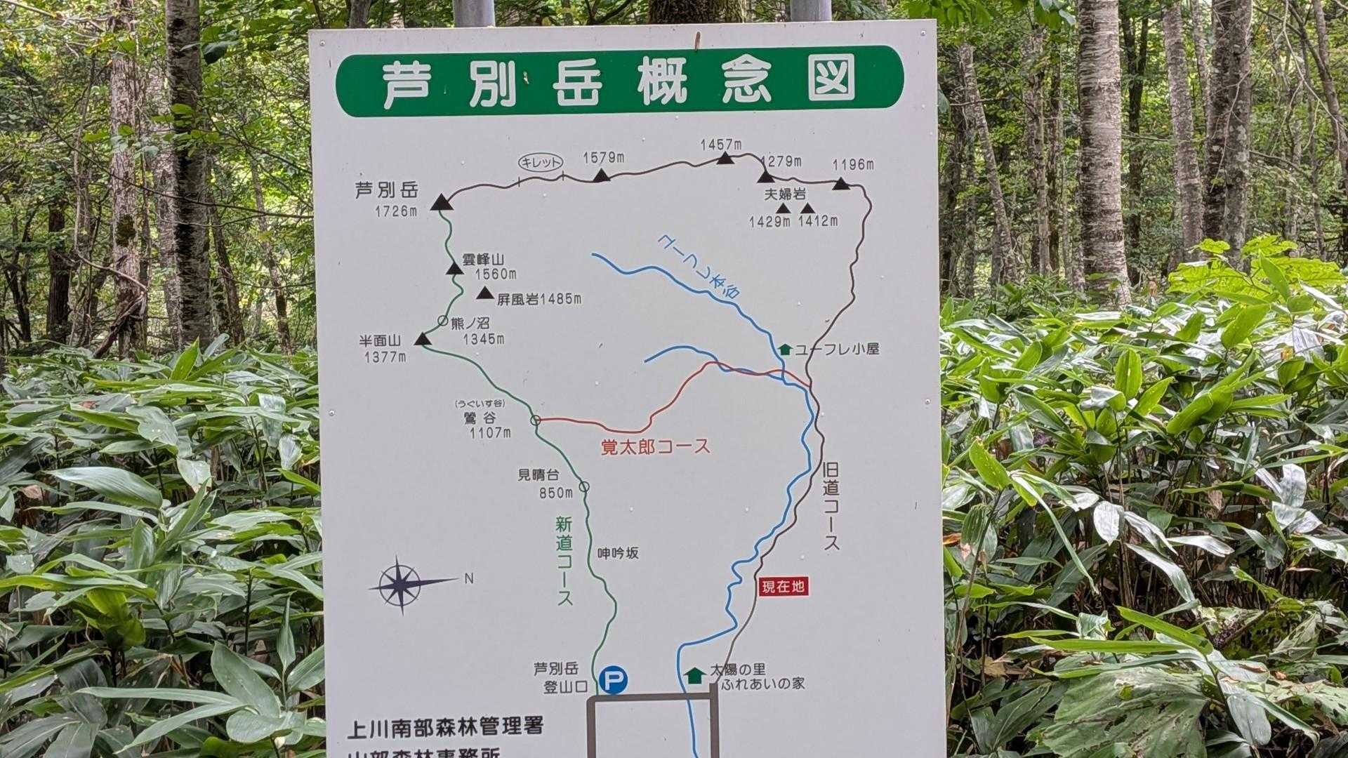 旧道登山口-芦別岳-雲峰山-半面山 縦走コースの写真