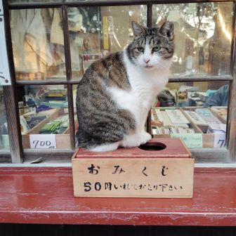 北海道＆東日本パス