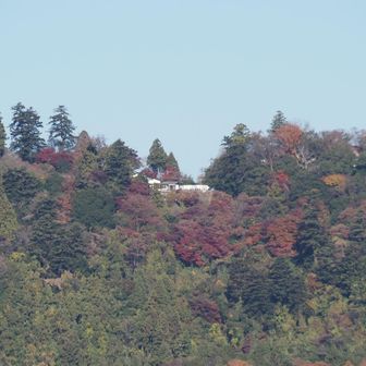遠くに薬王院が見えます