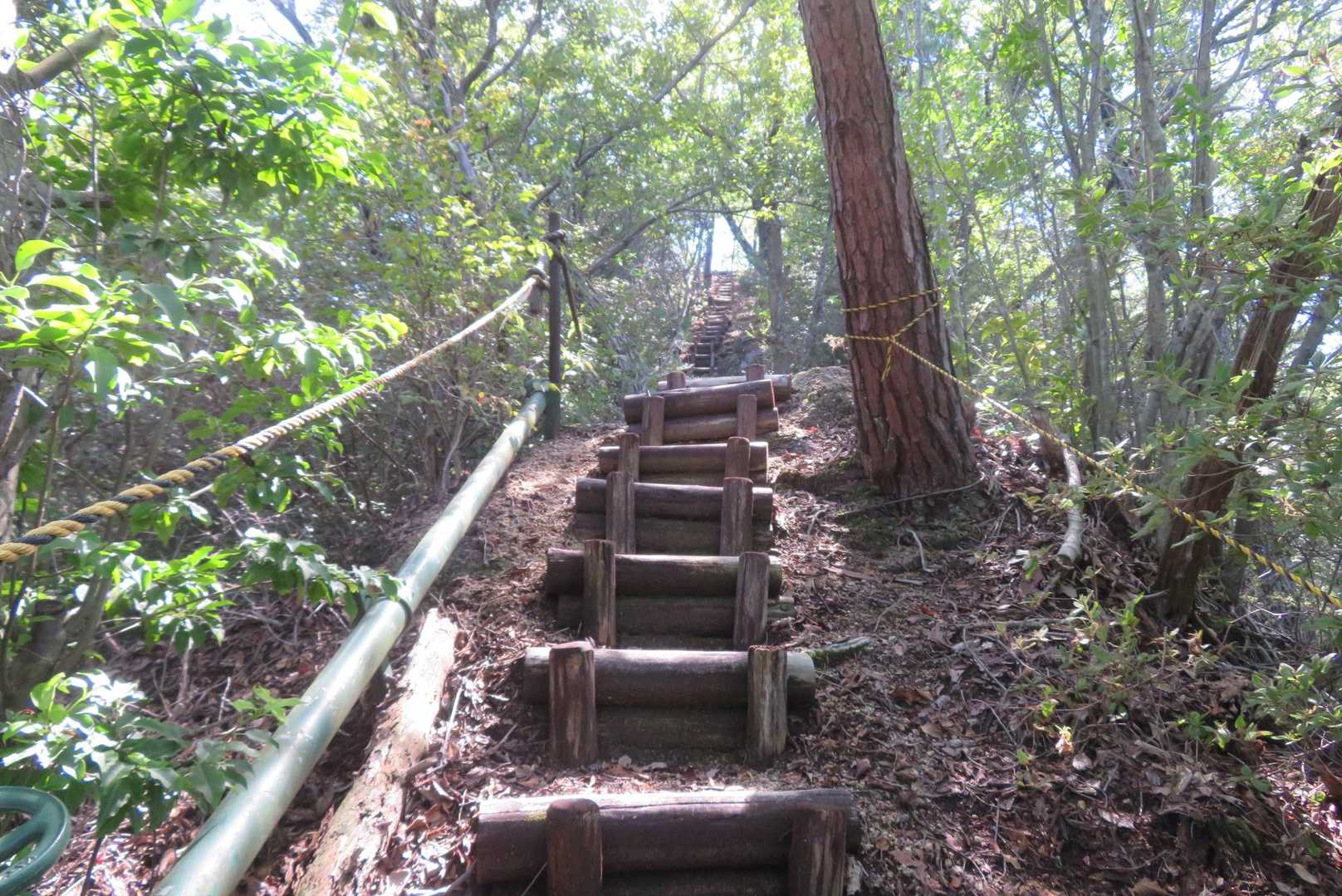 きんべえ山の急登