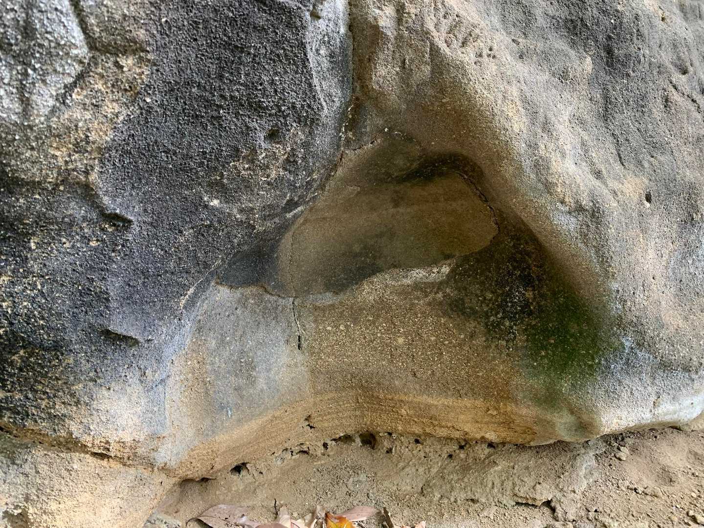 この地層が凄かったー！