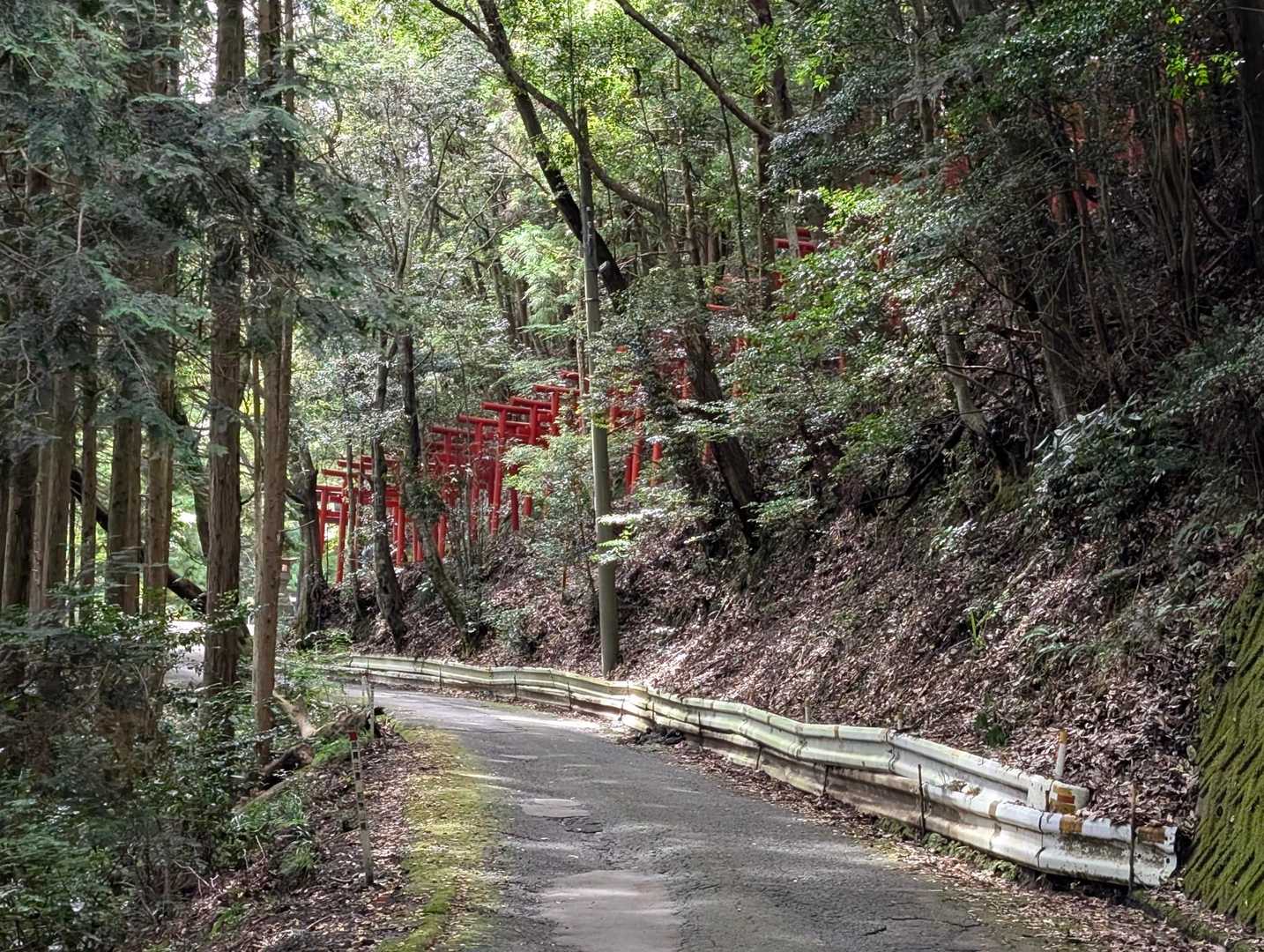 道路歩きも長いです💦💦
あっ！
⛩️鳥居が見えてきました🤗