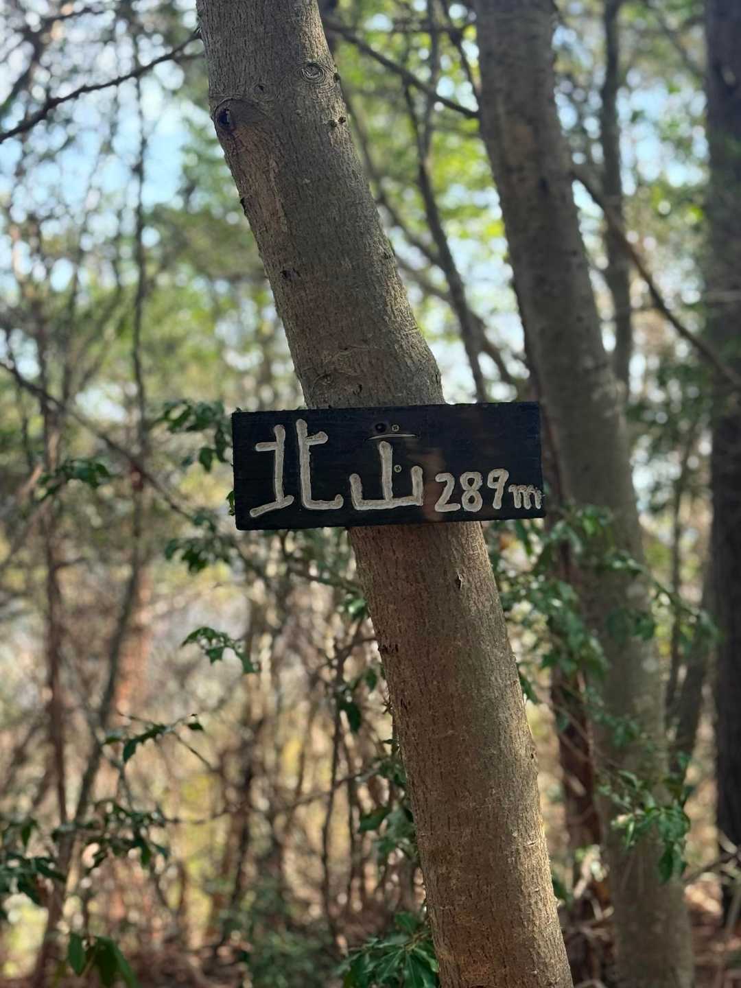                             初✨🙌   北山⛰️
