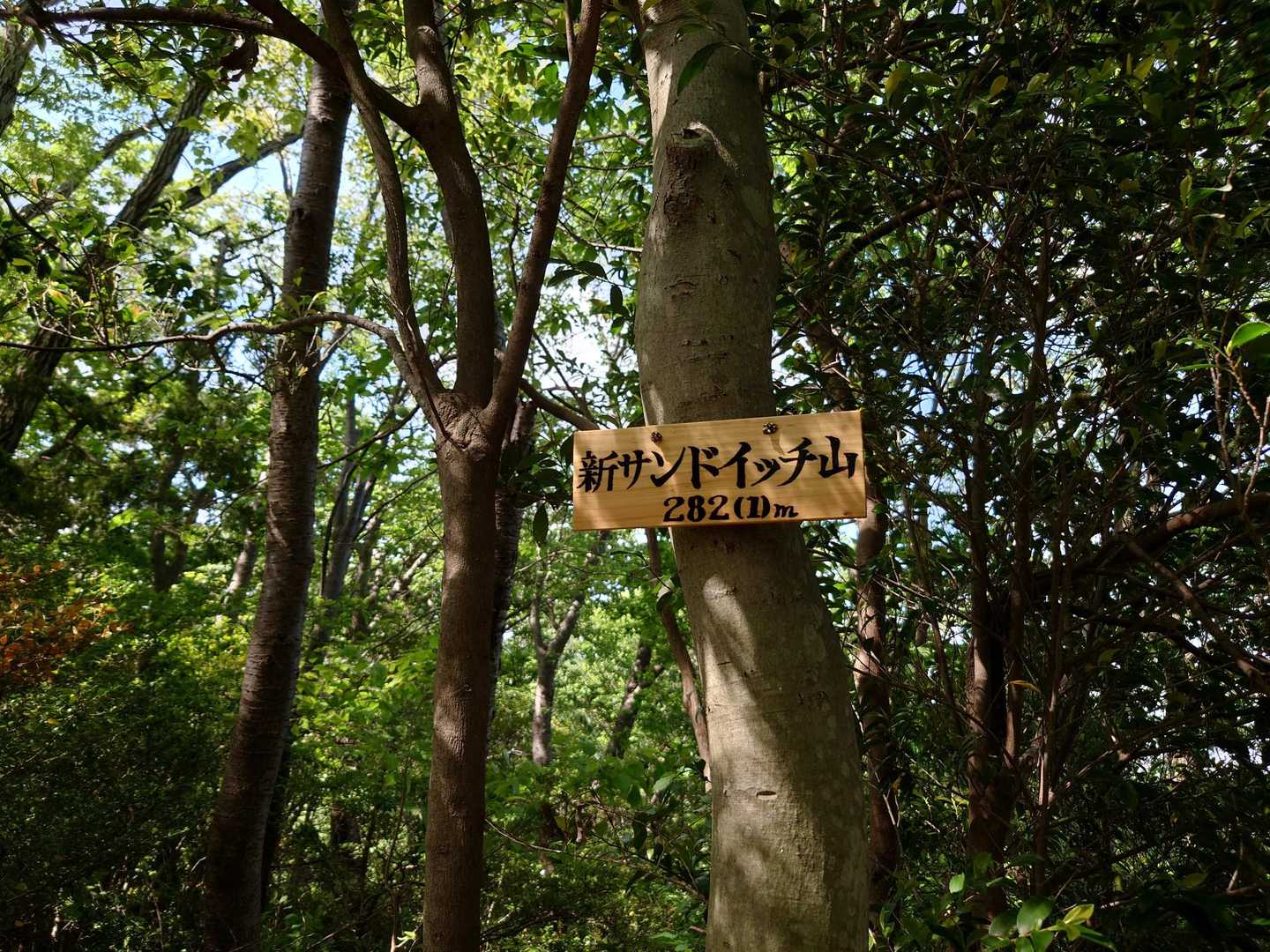 新サンドイッチ山