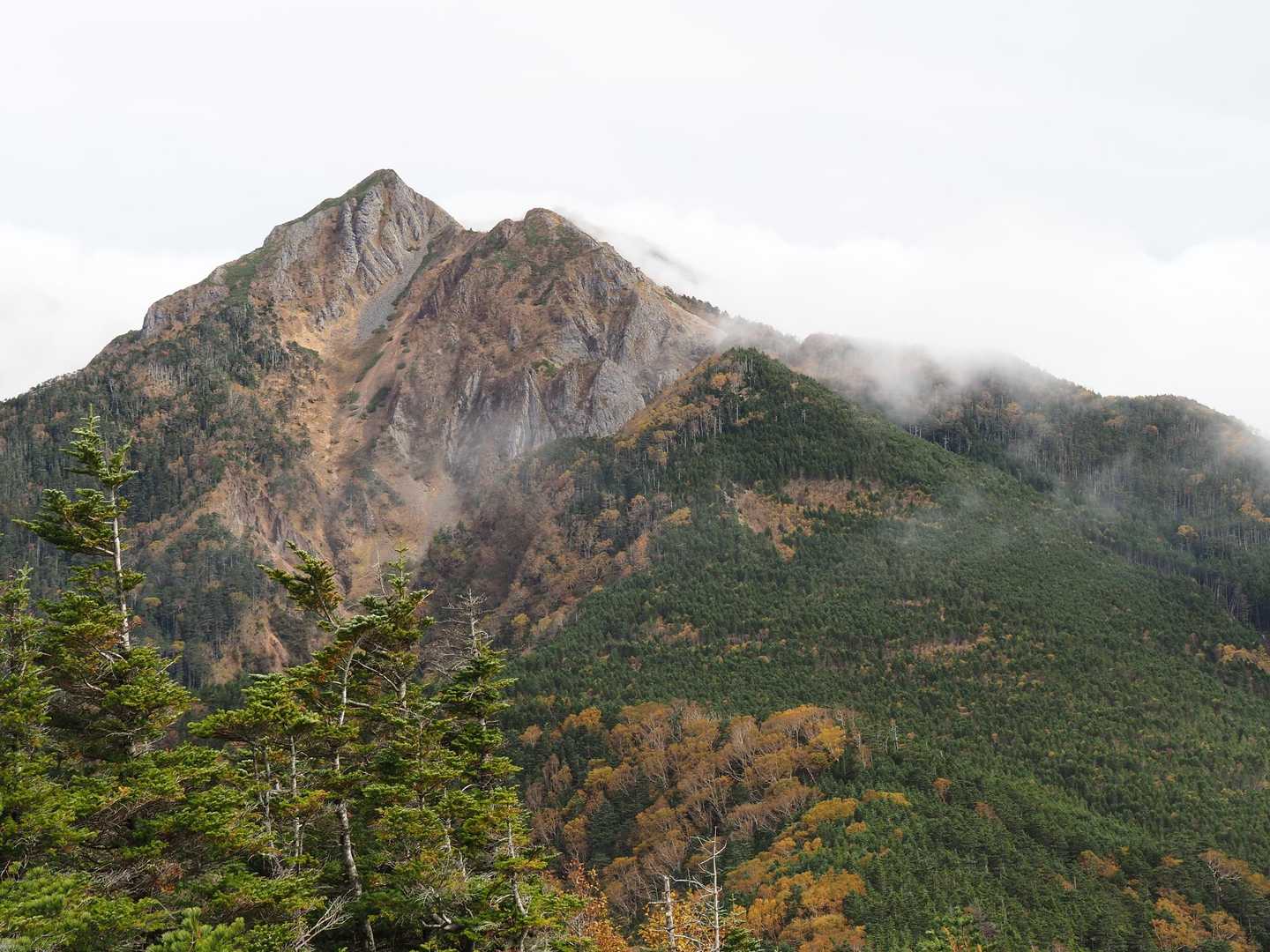 出ました❗
紅葉のギボシ、権現岳方面です❗