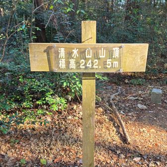 清水山