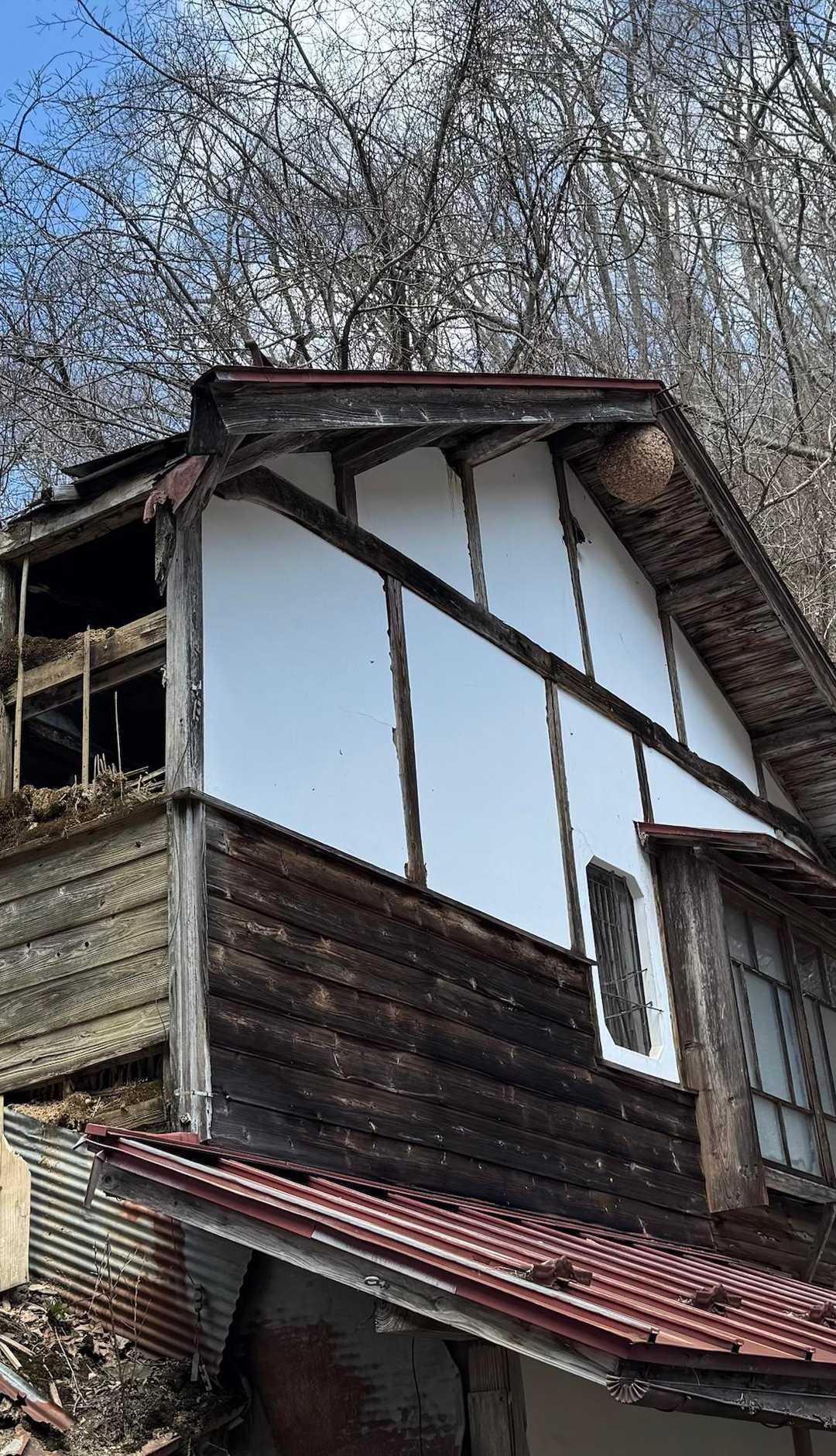 朽ちた建物に大きな🐝の巣