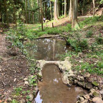 右上が参道。
上流側から📸

谷筋の沢でこの水が「表のお瀧」に続いています。

トンボのギンヤンマがゆうゆうと飛んでいました😚

いつもは水💧少量ですが8/3夜間にドカ雨☔降ったのでいっぱいに 😅

【8/3 警報】
20：40頃 北大阪にレベル3の大雨警報発表。
22：10頃 茨木市で発達した雨雲が停滞、レベル4の大雨危険警報発表。
