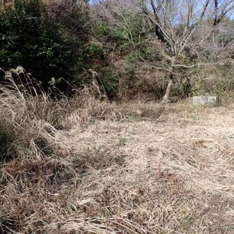 兵舎跡🪖今回はカヤが刈られて奥まで入って来ました。