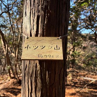 小つつじ山

かわいい山札❤️
つつじ三山、完了です

小つつじの後の下り、ヤバかった…
逆の上りだったら四つ這いビーストモードかも