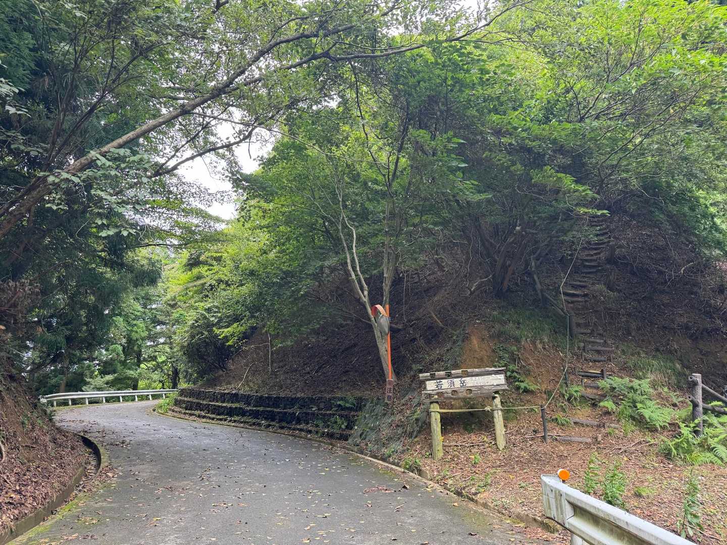 道路に出た！
ここからが核心部でした