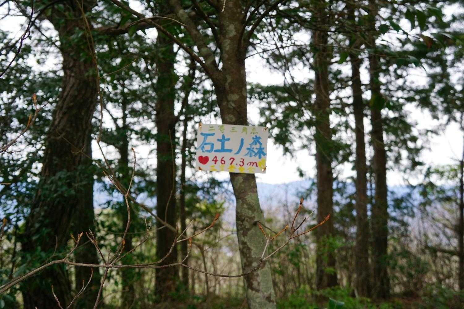 石土ノ森山頂です