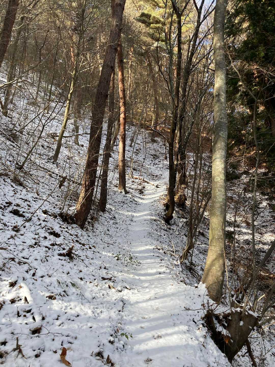 足跡は動物の足跡だけ🐾🐾