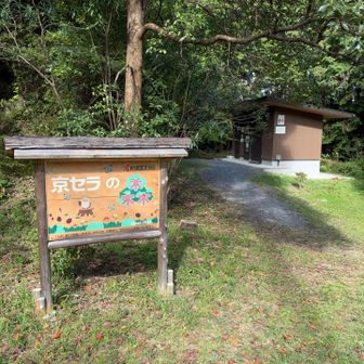 京セラの森やって。トイレあり🚻

以前みた、コメダの森みたいに新入社員が植樹するのかな。。。