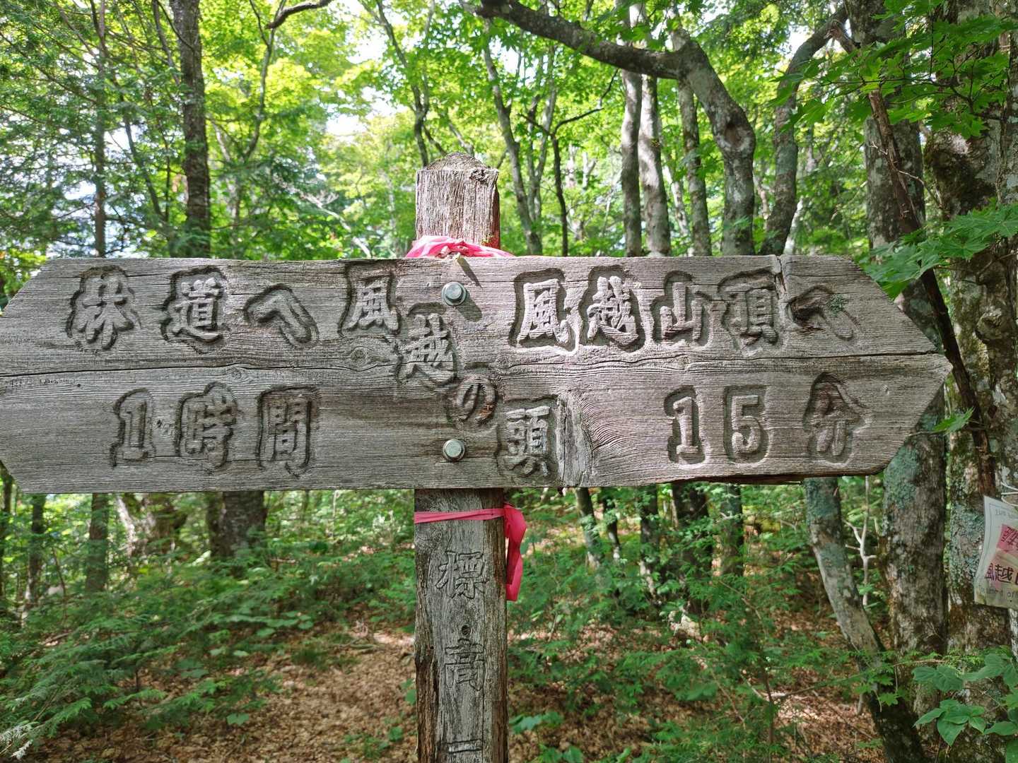 風越の頭。登山道、整備されていました。