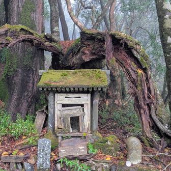 山頂近くの祠